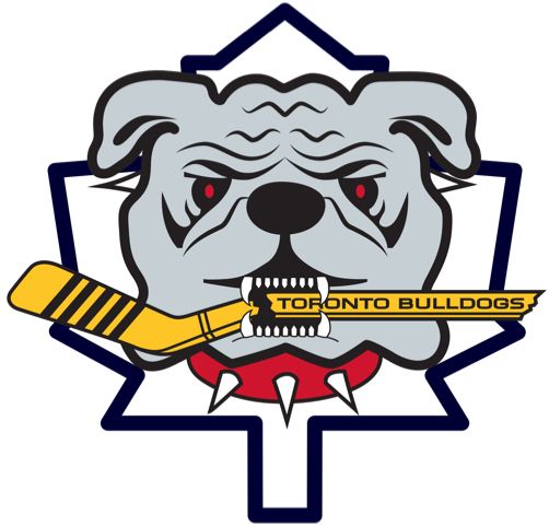 Logo 3